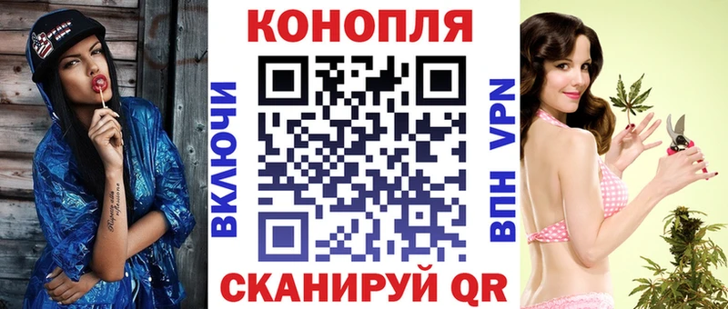 Бошки Шишки план  Новосиль 